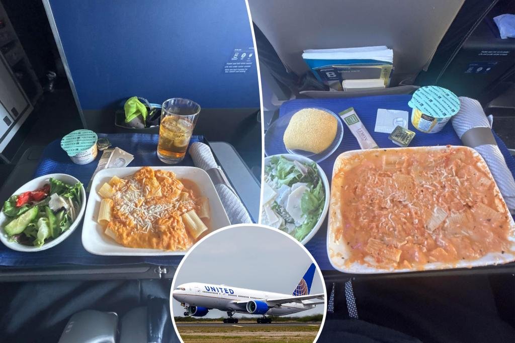 United passengers were shocked at the 'degradation' of food quality on various days