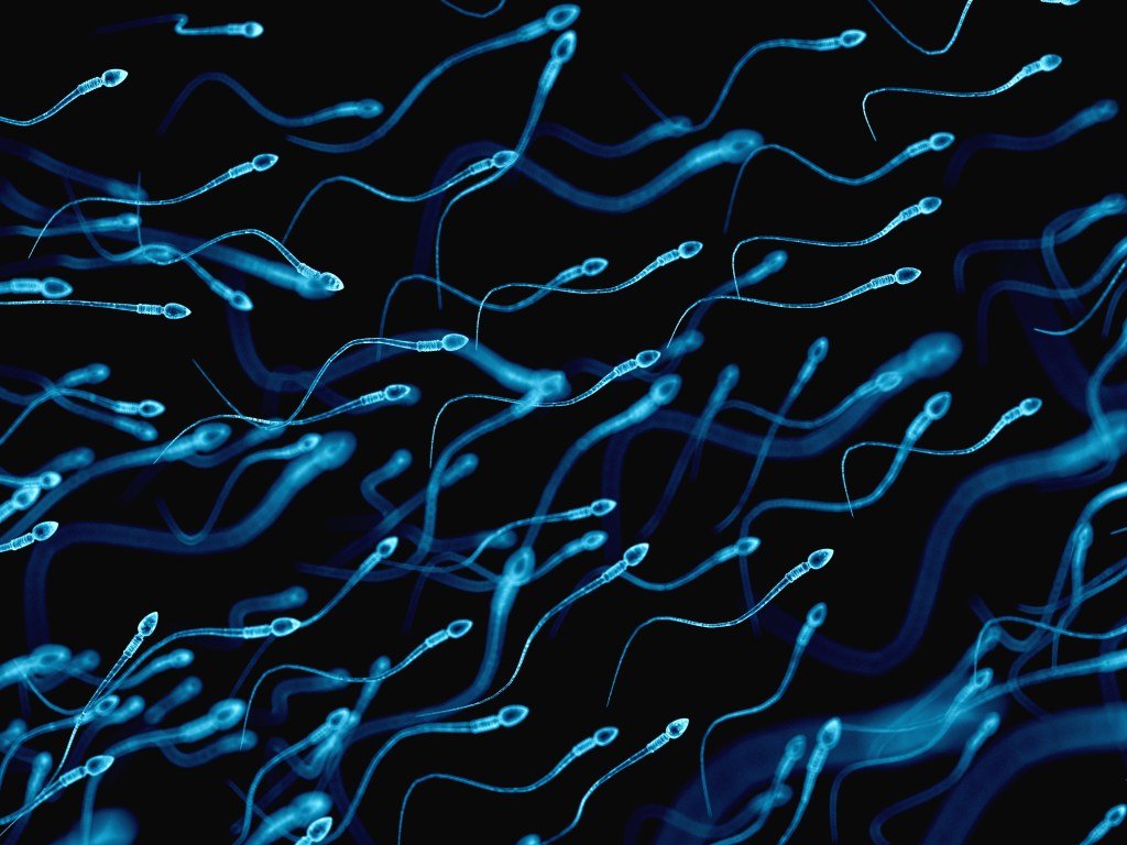 A 3D sperm illustration