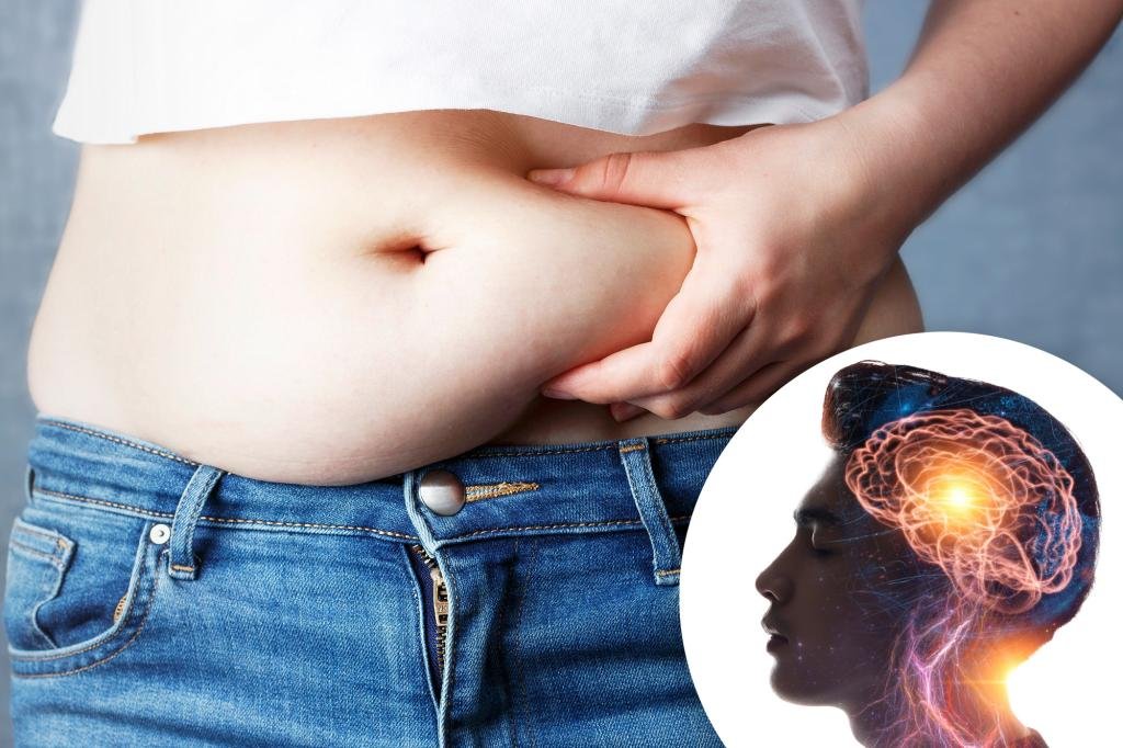The study reveals the startling benefit of abdominal fat growth