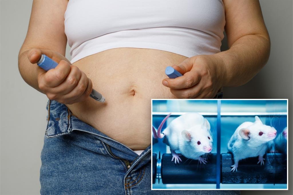 Natural alternative to ozepic mice made to eat up to 50% less