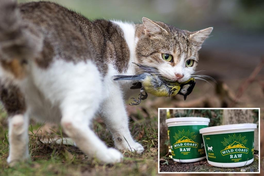 Raw food of wild coastal pets reminded of fears of bird flu