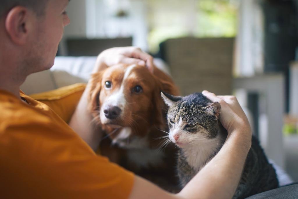 Worrying if your pet will associate with the issue of health