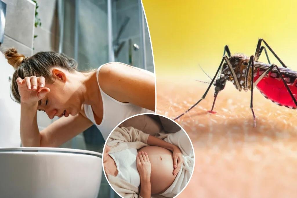'Other zika' can cause brain swelling, vomiting and abortion