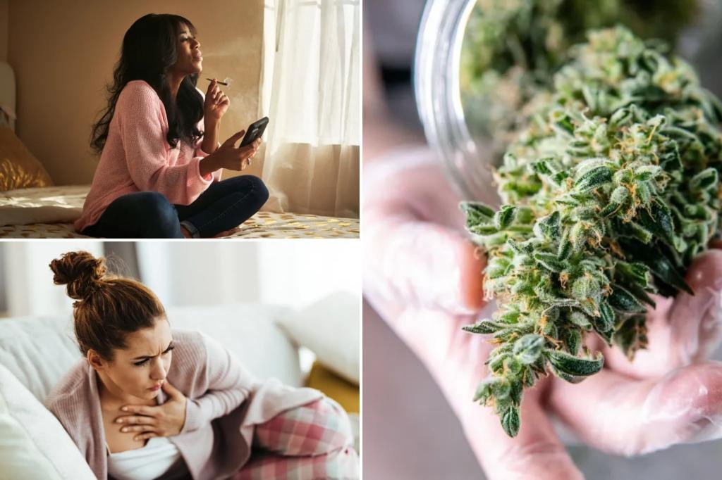 New pot users six times more likely to have heart attack